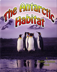 The Antarctic Habitat