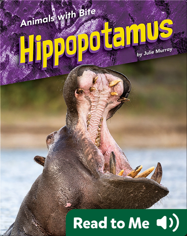 Animals with Bite: Hippopotamus