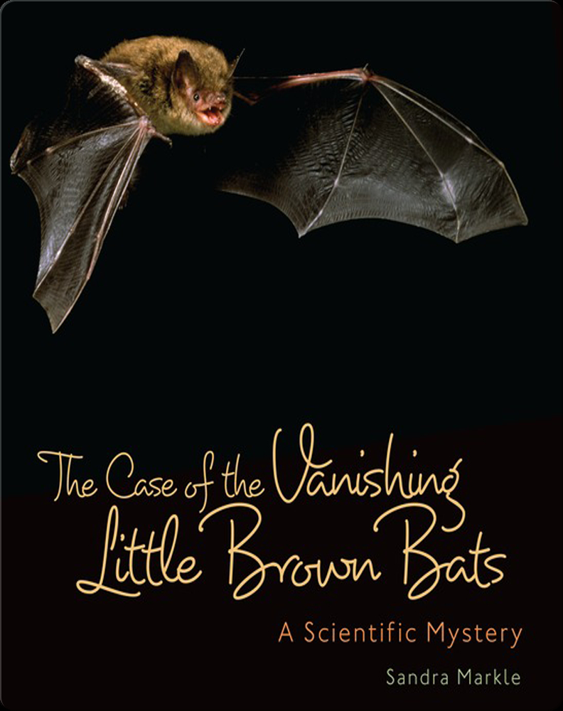 The Case of the Vanishing Little Brown Bats A Scientific Mystery