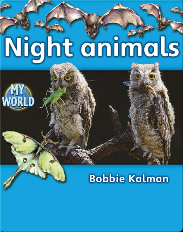 Night Animals Children S Book By Bobbie Kalman Discover Children S Books Audiobooks Videos More On Epic