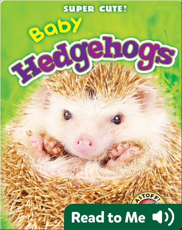 Super Cute Baby Hedgehogs Children S Book By Megan Borgert Spaniol Discover Children S Books Audiobooks Videos More On Epic