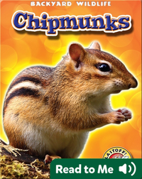 Chipmunks: Backyard Wildlife