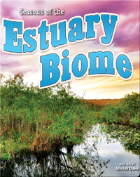 Seasons Of The Estuary Biome