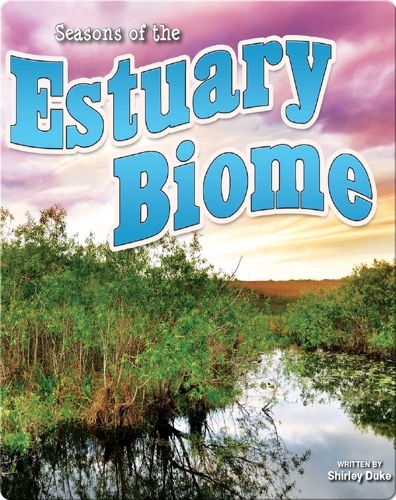 Seasons Of The Estuary Biome