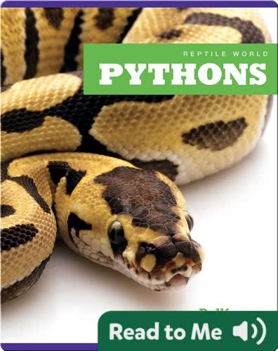 Reptile World: Pythons
