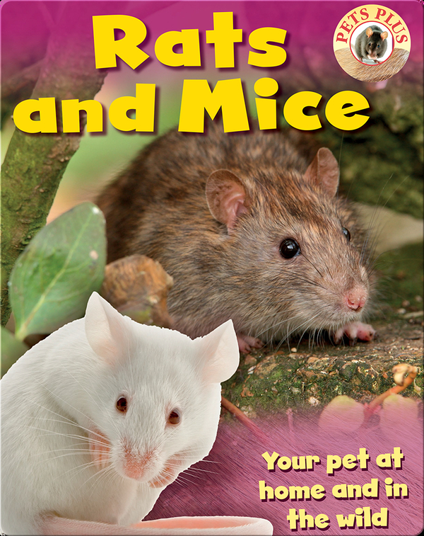 Rats and Mice Children's Book by Sally Discover Children's