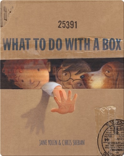 What To Do With a Box