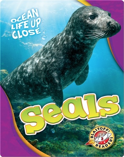 Ocean Life Up Close: Seals
