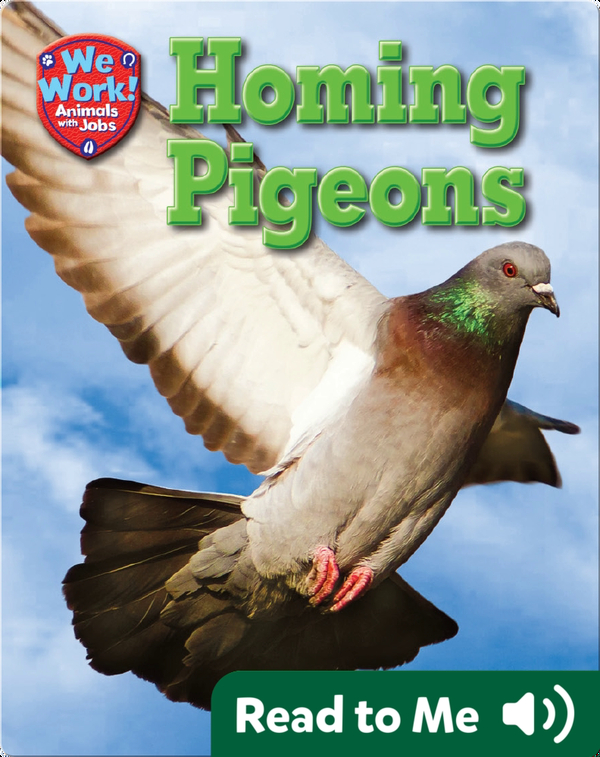 Homing Pigeons Children's Book by Jenny Fretland Vanvoorst Discover