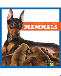 Animal Classification: Mammals
