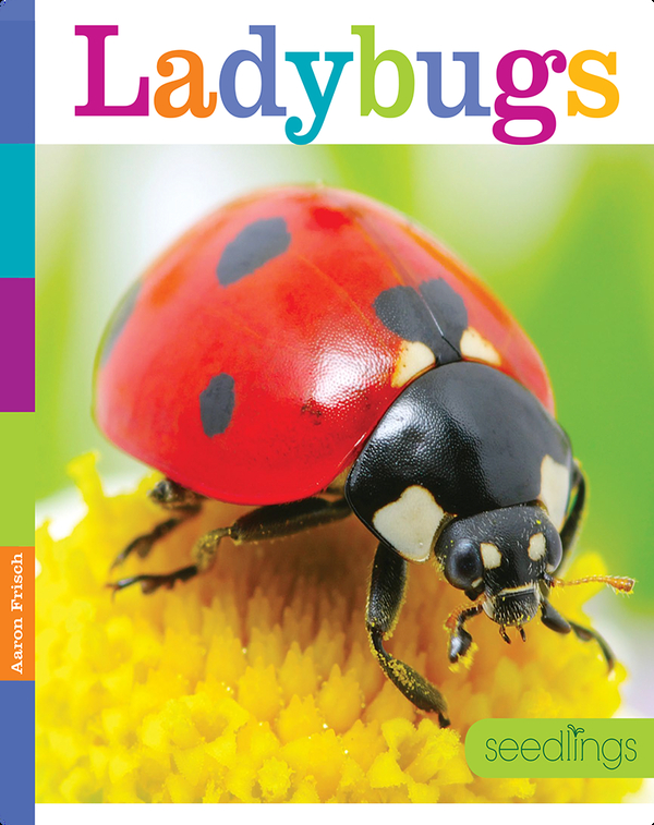 Ladybugs Children S Book By Kate Riggs ron Frisch Discover Children S Books Audiobooks Videos More On Epic