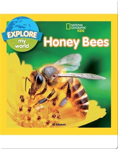 Explore My World Honey Bees