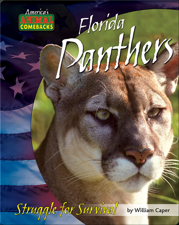 Florida Panthers: Struggle for Survival