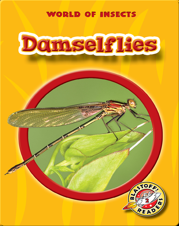 World of Insects: Damselflies
