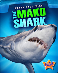 The Mako Shark