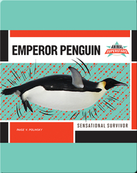 Emperor Penguin: Sensational Survivor