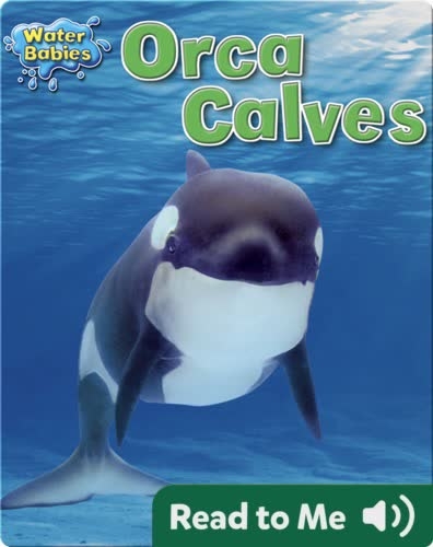 Orca Calves