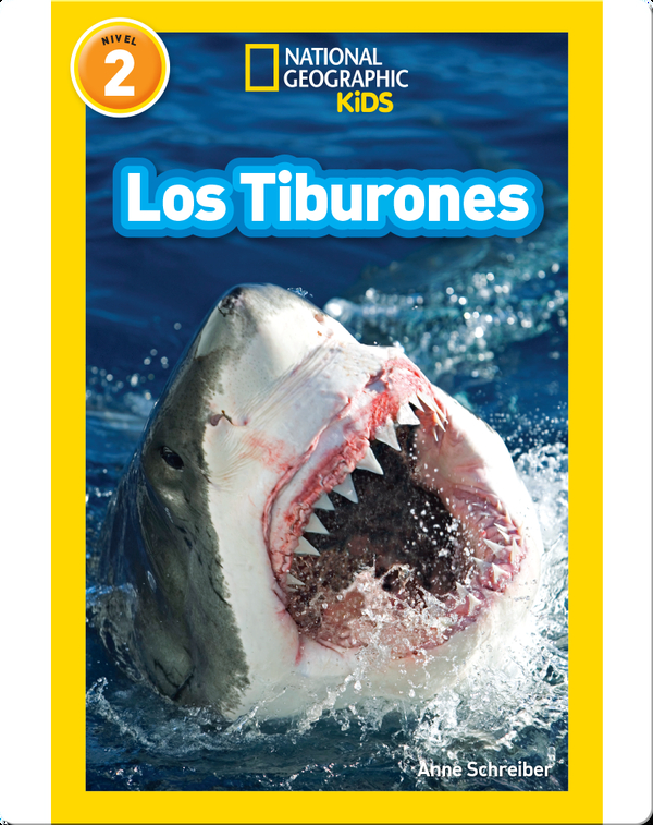 Es amor los tiburones. Los tiburones фото. Los tiburones группа. Los tiburones фото певицы. Los tiburones группа какой страны.