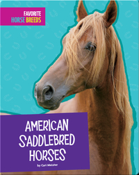 American Saddlebred Horses