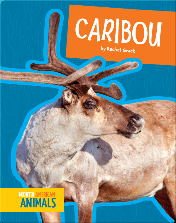 Caribou Children's Book by Rachel Grack Discover Children's Books, Audiobooks, Videos & More
