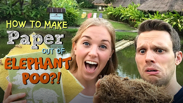 How to make Paper out of Elephant Poo?!
