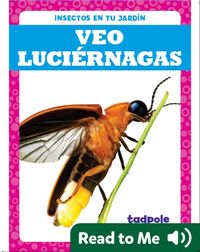 Veo luciérnagas (I See Fireflies)
