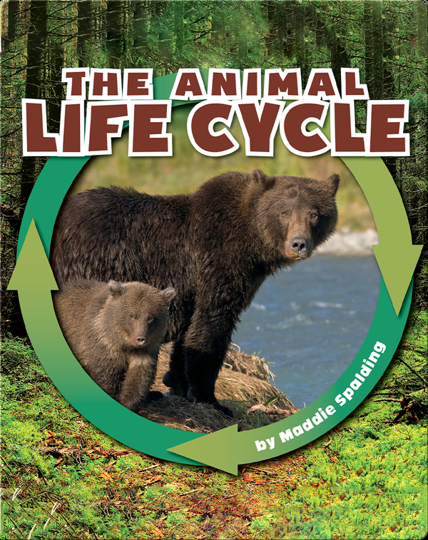 The Animal Life Cycle Children S Book By Maddie Spalding Discover Children S Books Audiobooks Videos More On Epic