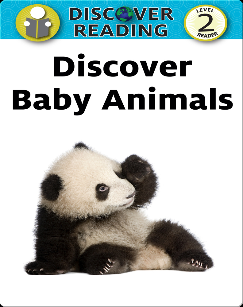 Discover Baby Animals Children S Book By Xist Publishing Discover Children S Books Audiobooks Videos More On Epic