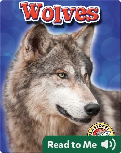Wolves: Backyard Wildlife