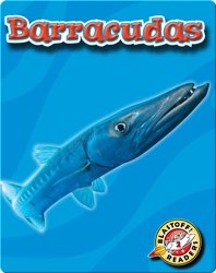 Barracudas: Oceans Alive