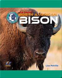 All About North American Bison