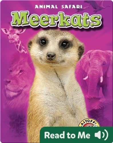 Meerkats: Animal Safari