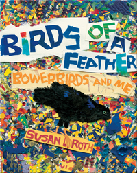 Birds of a Feather: Bowerbirds and Me