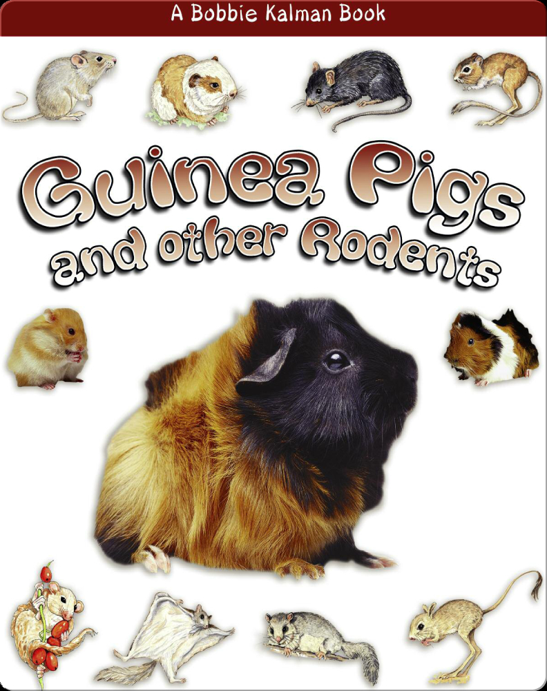 Guinea pigs and other Rodents Children's Book by Bobbie Kalman, Reagan