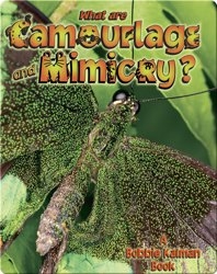 What Are Camouflage and Mimicry?
