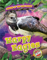 Animals of the Rain Forest: Harpy Eagles