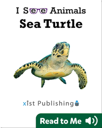 I See Animals: Sea Turtle