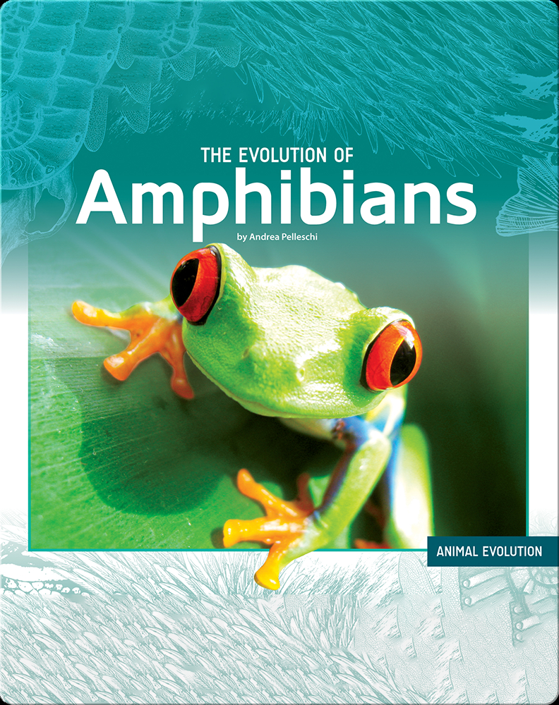 The Evolution of Amphibians Children's Book by Andrea Pelleschi
