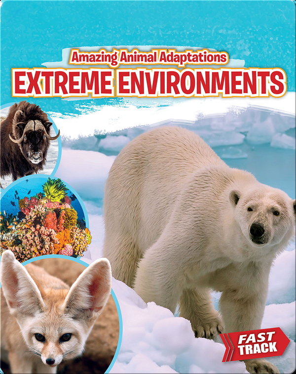 Amazing Animal Adaptations Extreme Environments Children's Book by
