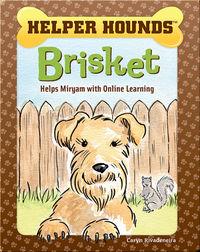 Helper Hounds: Brisket Helps Miryam Deal with Online Learning