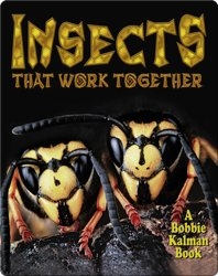 Insects that Work Together