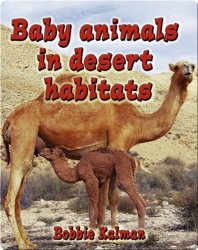 Baby Animals in Desert Habitats
