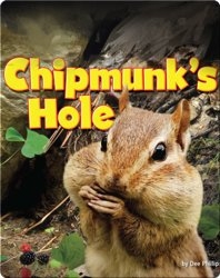 Chipmunk’s Hole