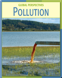 Global Perspectives: Pollution