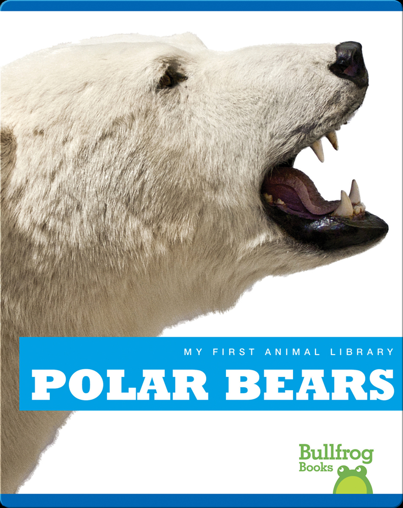 My First Animal Library: Polar Bear Children's Book by Cari Meister