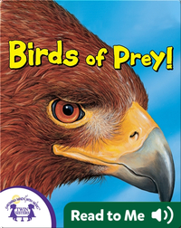 Birds Of Prey!