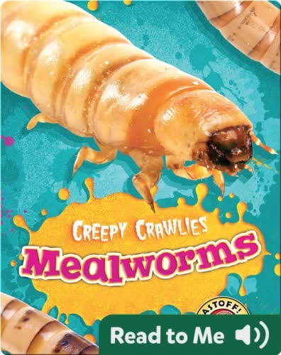 Creepy Crawlies: Mealworms