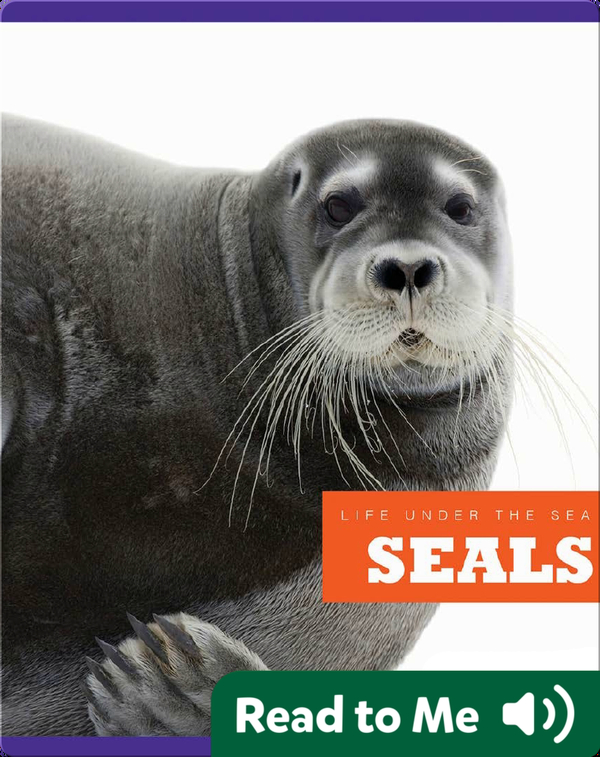 Seals Children's Book by Cari Meister Discover Children's Books