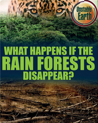 What Happens if the Rain Forests Disappear?