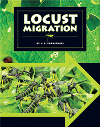 Locust Migration